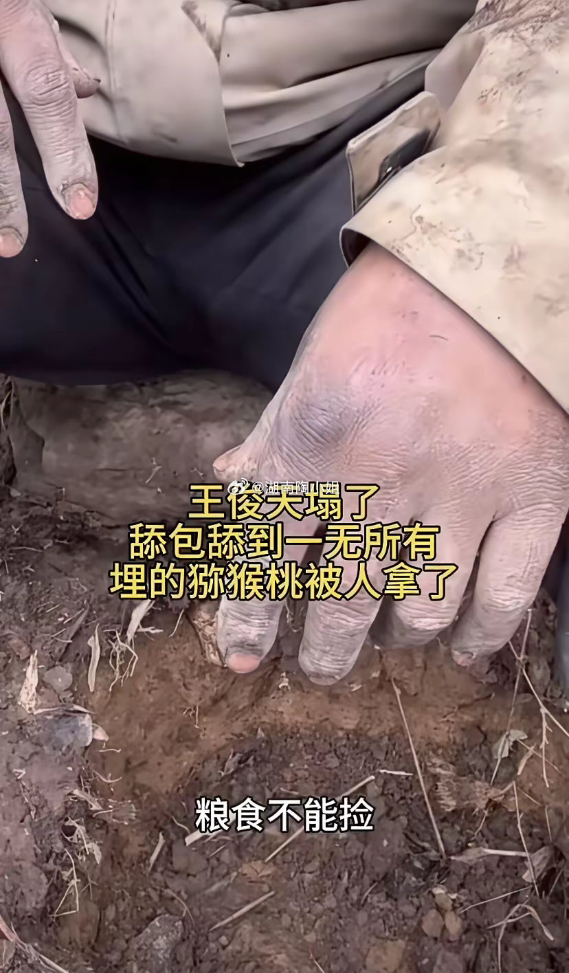 不该发生的事终于还是发生了!七星山骆驼杯荒野求生42选手王俊的储存的生存物资