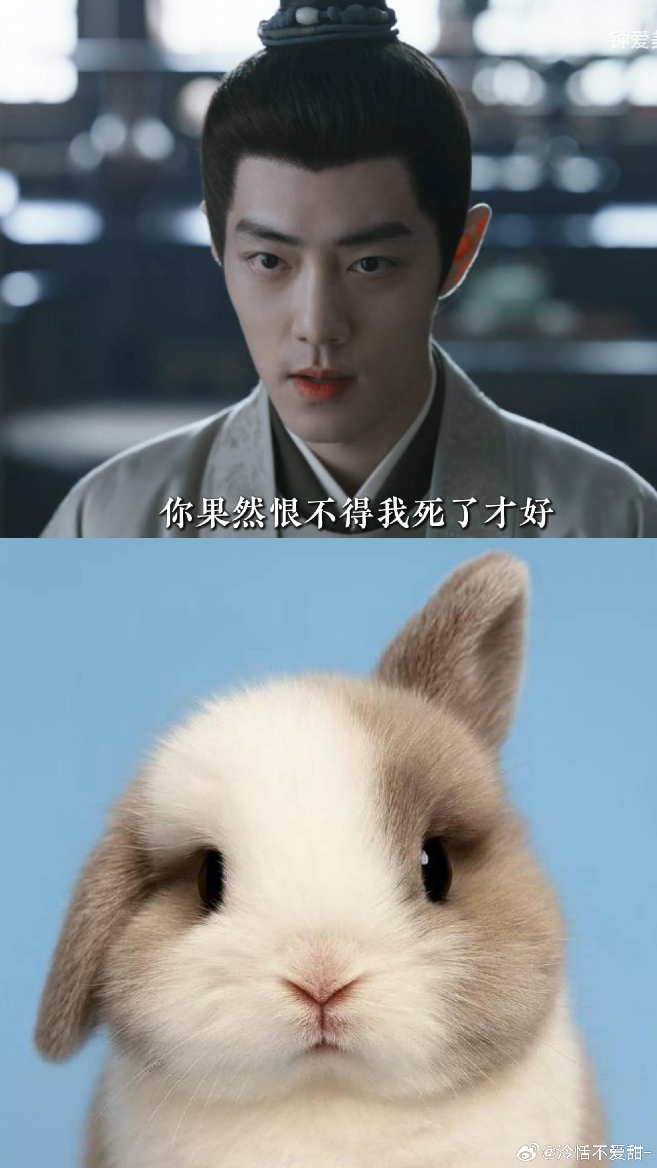 藏海冷脸然后只翘着一只耳朵简直太可爱了啊啊啊软软🥺🤲🏻​​​