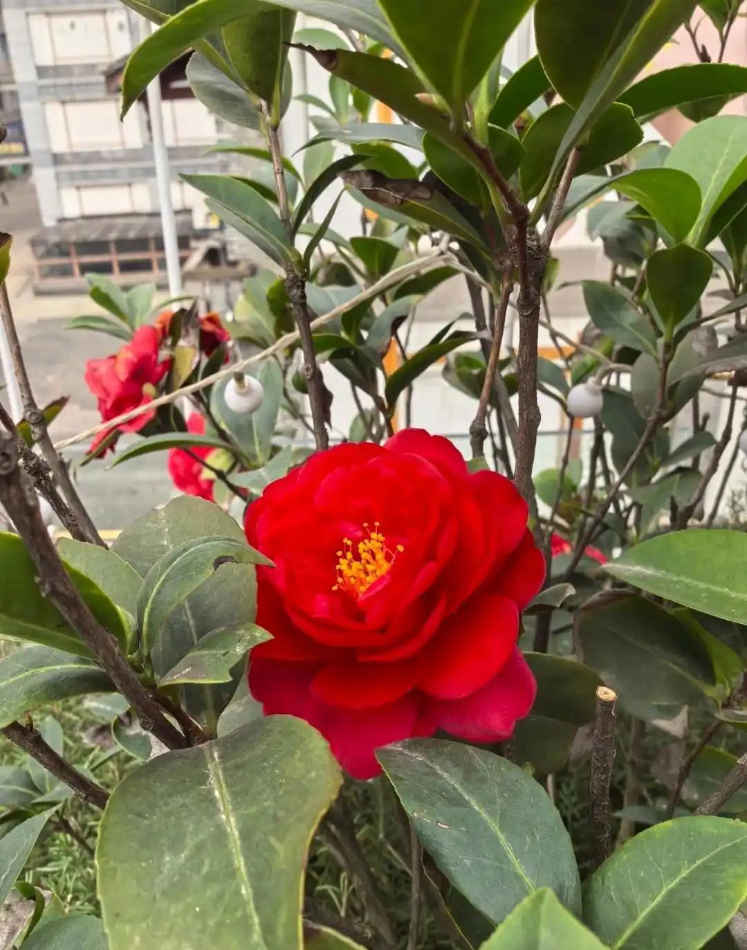 我一同学，自己亲孙子不带，跑去北京给别人当了十几年保姆。一个月一万。一年十来万