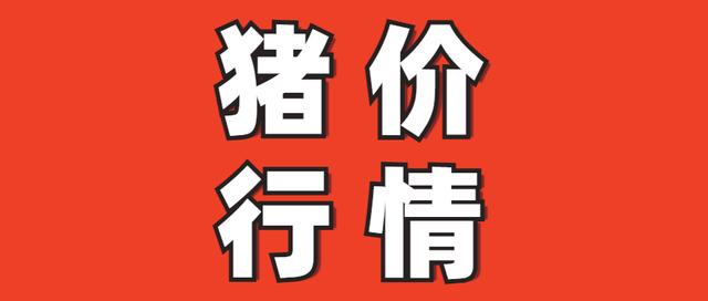 2025.2.10 全国各地生猪价格信息! 仔猪价格短期内或将见底