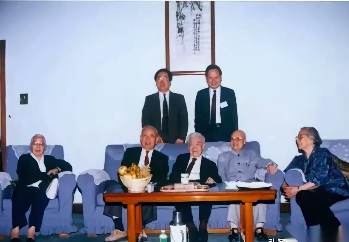 第一眼刷到这张合影我直接懵了——杨振宁居然站在后排,腰杆挺得笔直,像个等着听老师