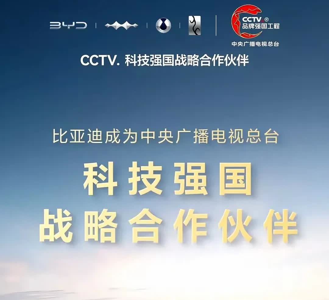 想了许久，也不知该从哪个方面去谈比亚迪，那就从以下四个方面1、或许快倒闭