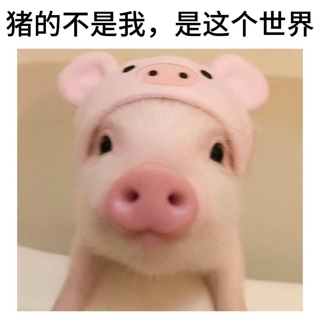 把“错”换成“猪”会发生什么