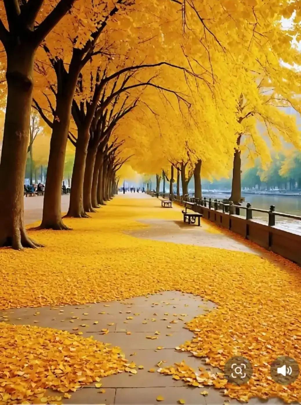 纪律审查来临前的四个暗号，别等最后一个才慌！纪律审查看似悄无声息，其实早有