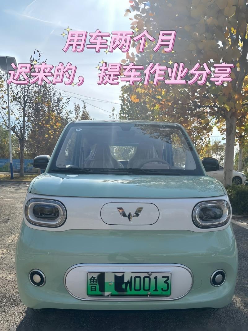 车主点评【车主：宏光MINIEV提车分校萌趣外观+实用。】宏光MINIEV