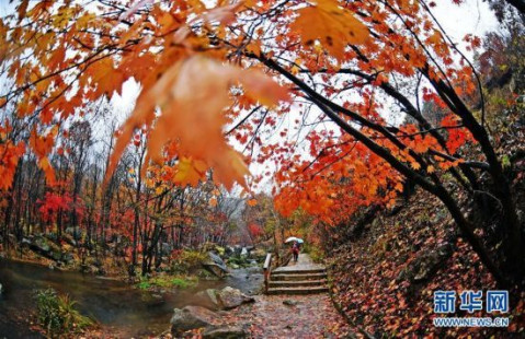 游客在辽宁本溪老边沟风景区观赏红叶(10月10日摄)._风景520 游客在辽宁本溪老边沟风景区观赏红叶(10月10日摄).