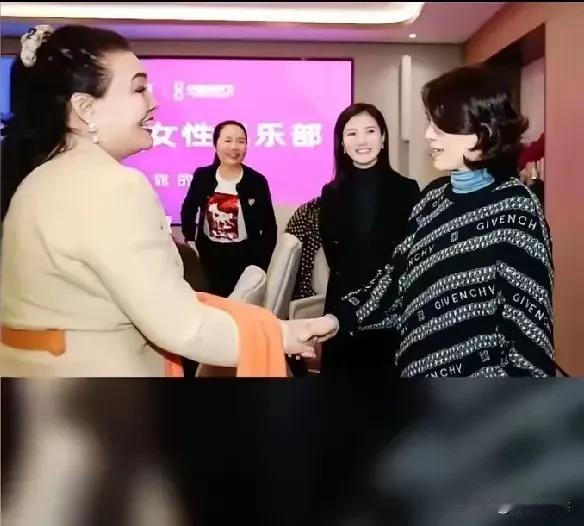 笑某人刚嘲笑完湛兰说没有董明珠参加的大会通通可以称为wei商大会立马就有
