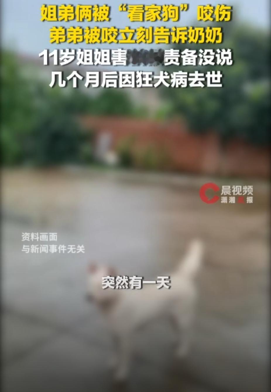 “太让人心疼”！湖南某村，11岁的姐姐带着弟弟在老家过暑假，却意外被家里一条土狗