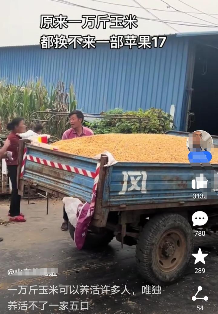真的有点可悲，一万斤的玉米都换不了来一部苹果17手机！有专家说:种子可以涨价，化
