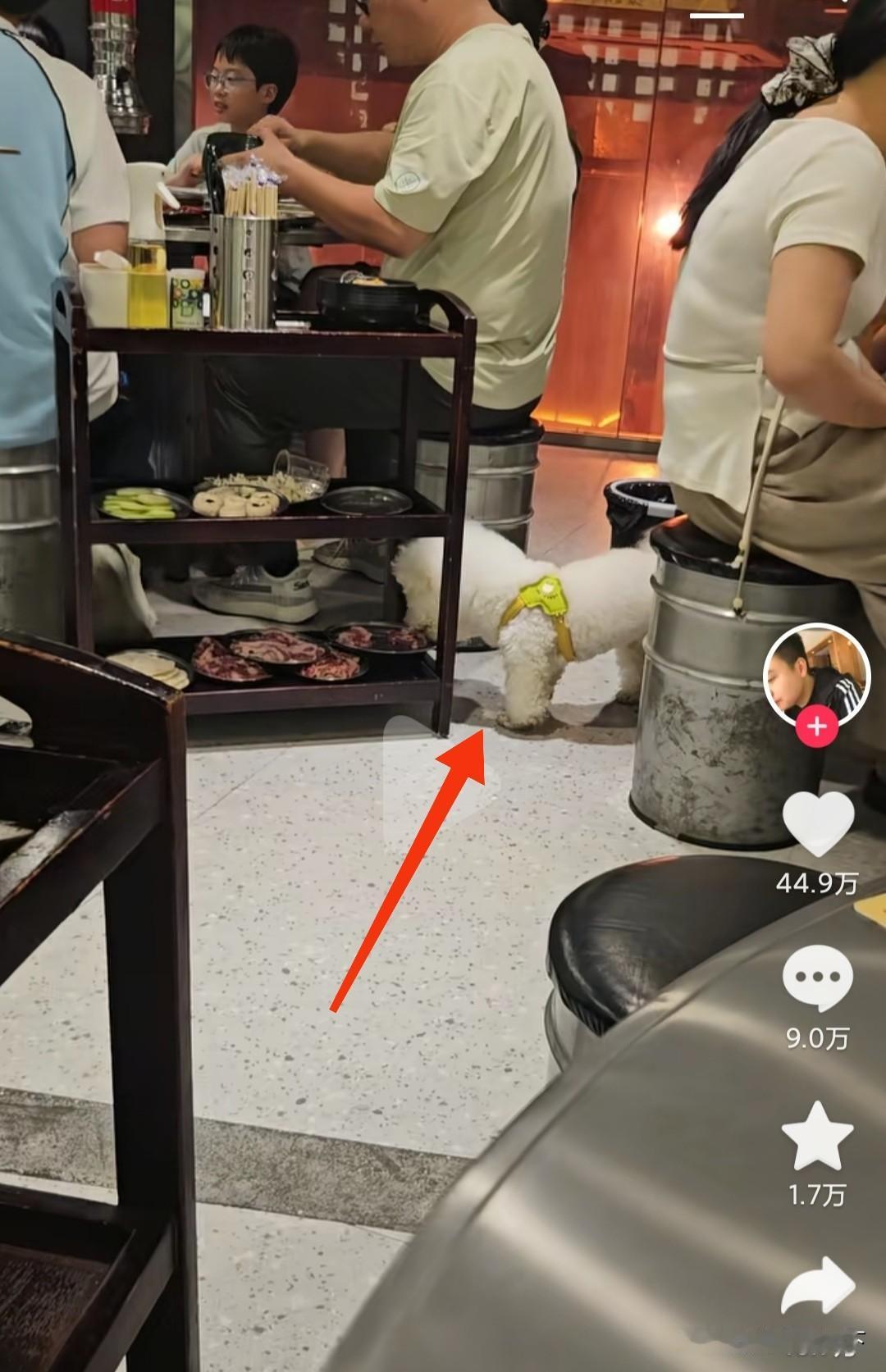 又倒霉了一家火锅店，视频发布于18个小时前，现在已经超过了45万赞，如果按照5