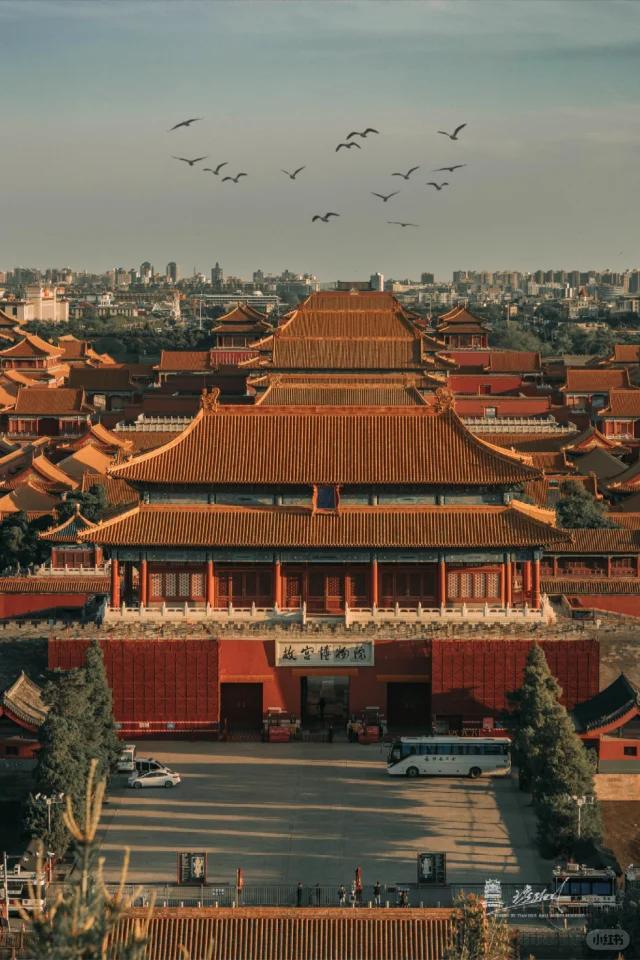 记得几年前，一位北京的医疗口的朋友和我说：我们这单位，有小鱼小虾，还有大鲨鱼、大