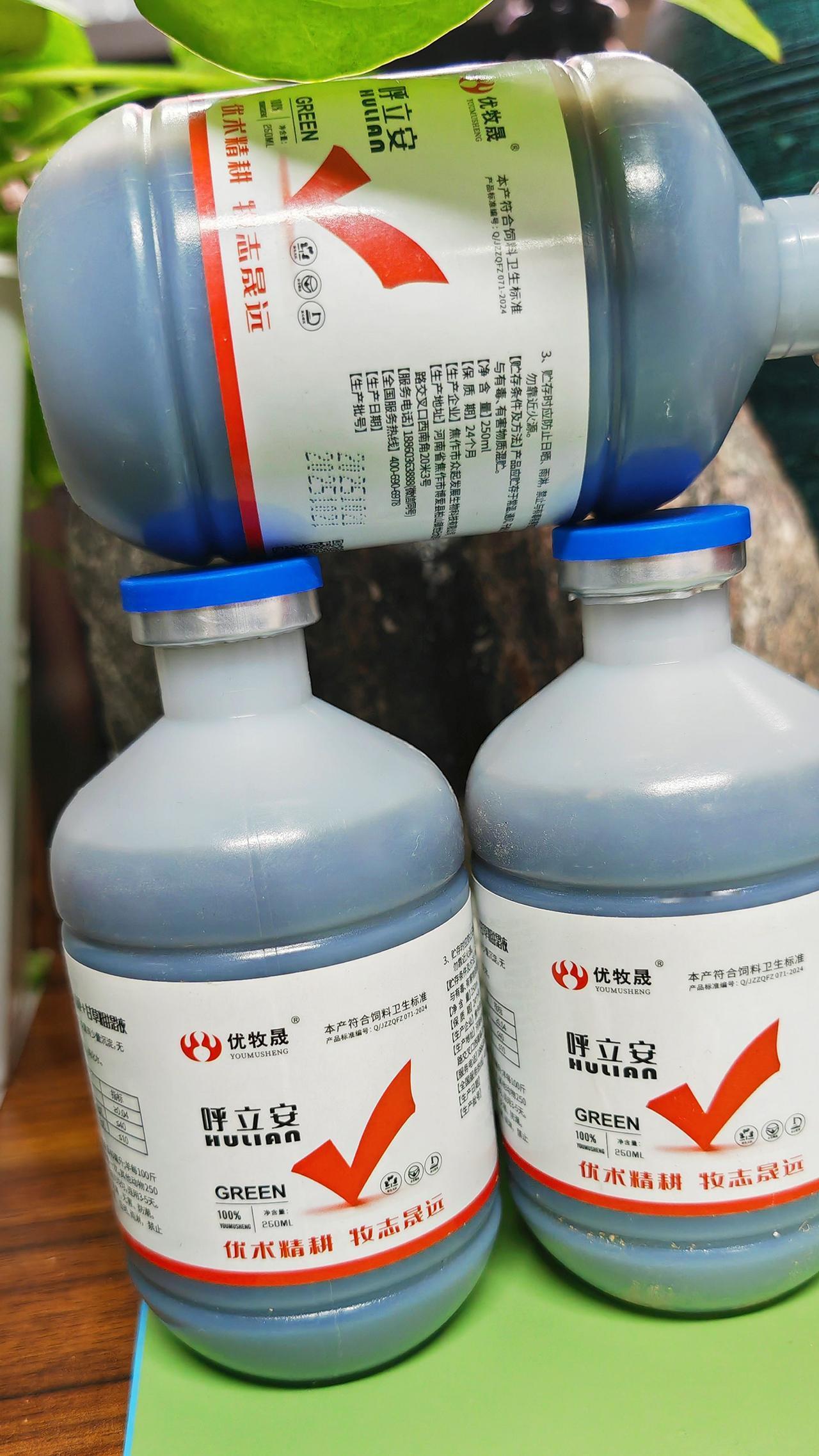 养羊人农村养羊养牛人