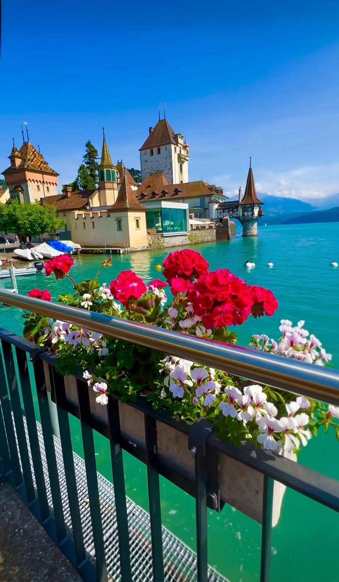 旅游瑞士🇨🇭.​​​