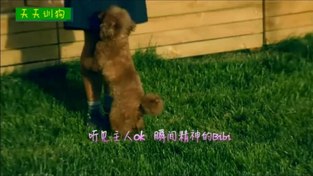 11022263894282688565.jpg?id=0