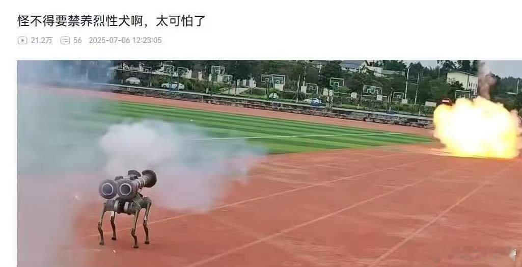 烈性犬危险啊，尤其是带火箭筒的