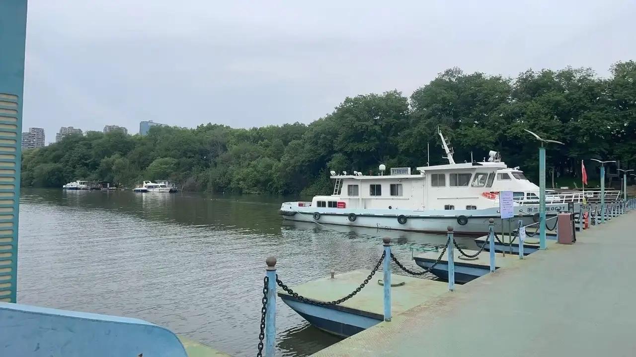 丈夫背叛后，我竟想当小三报复，看清真相后清醒了发现丈夫背叛那天，我脑子一热，