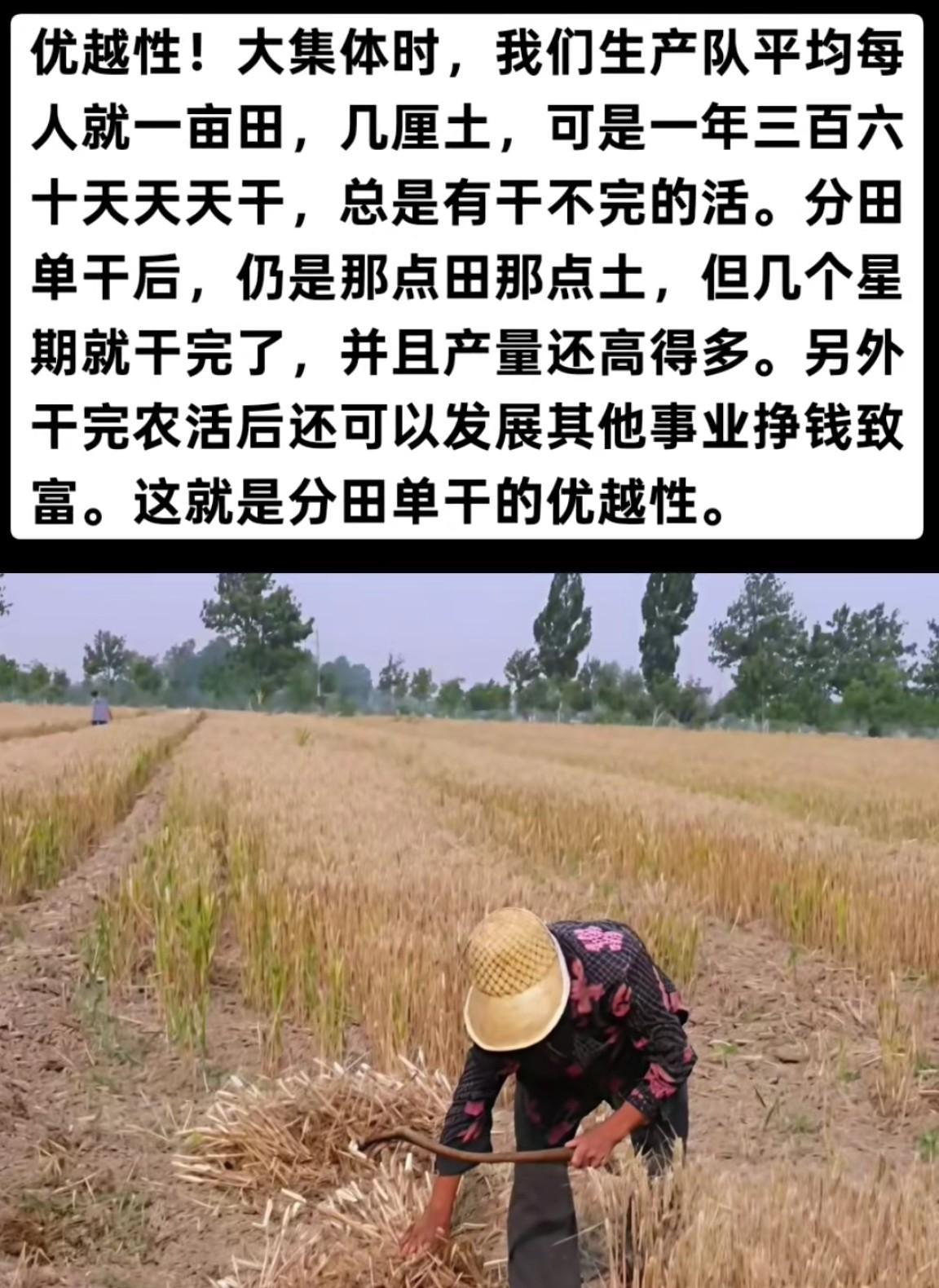 一是主动性提高了，二是耕种的效率提高了，三是农业发展更先进了！