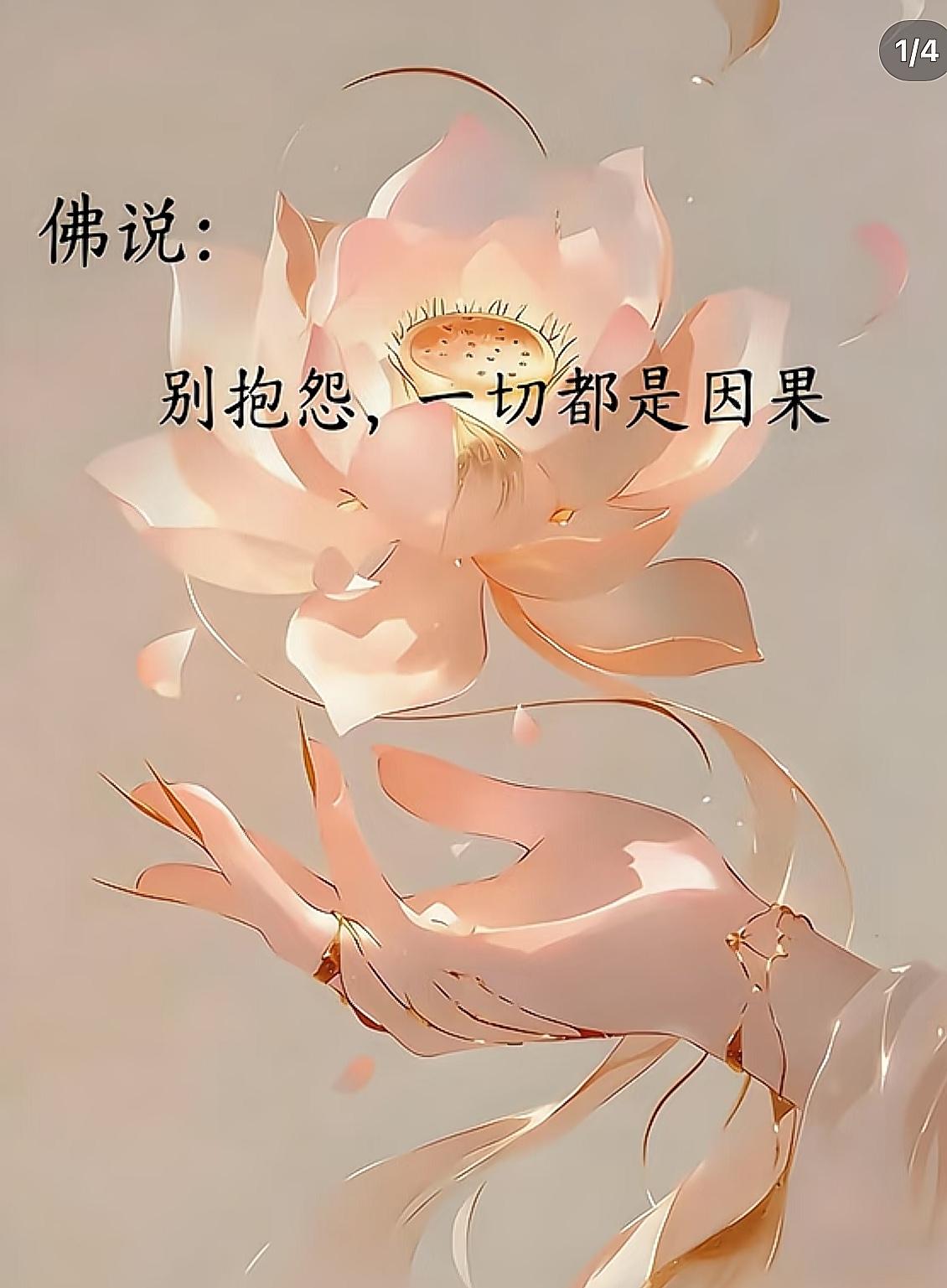 佛说：你能刷到这篇，不是巧合，是缘分在渡你🙏​​人这一辈子，所有经历，皆