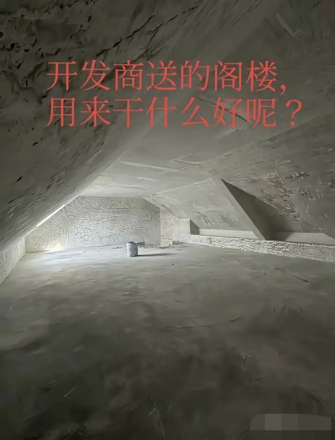 这个阁楼该怎么装修呢,有没有大神给设计一下