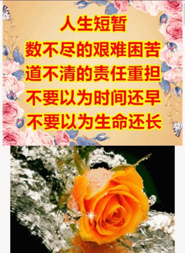 人生短暂，别让自己累成“猪八戒”！不挤不强，不抢不拼，活得自在才是真正的“王者”