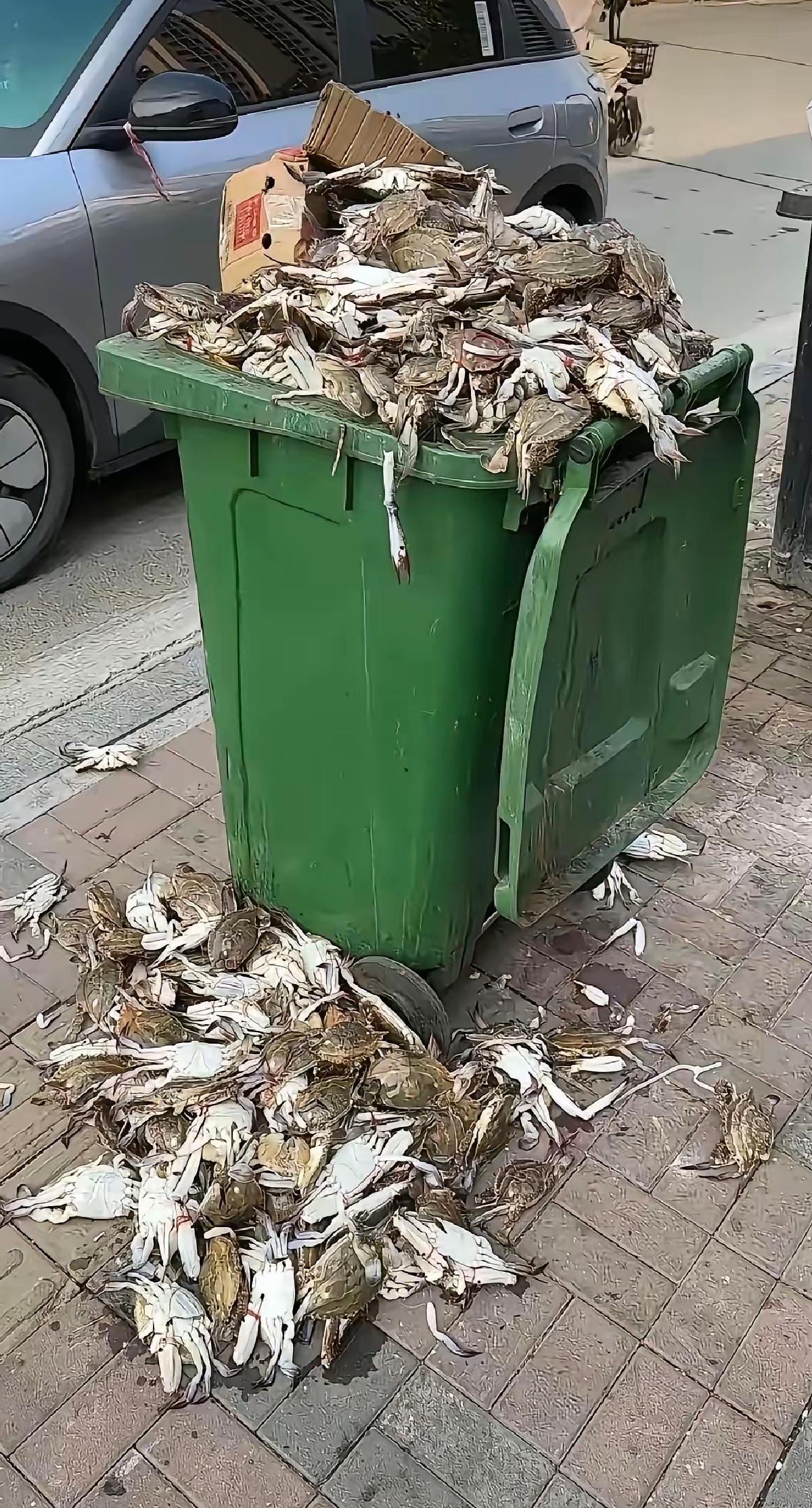 死的水产品不要捡，不要捡，不要捡。各种毒素严重超标。