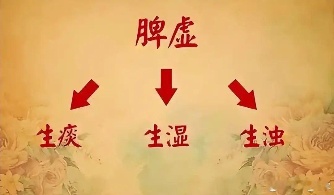 张仲景养脾第一方，仅五味药，横扫胃胀胃痛、反酸、胃炎很多人胃胀、胃痛、反酸，吃西
