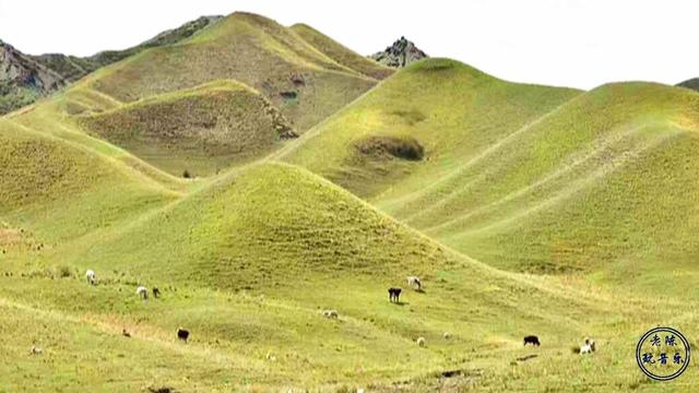 二胡曲谱陕北民歌_陕北民歌酒杯杯曲谱(4)