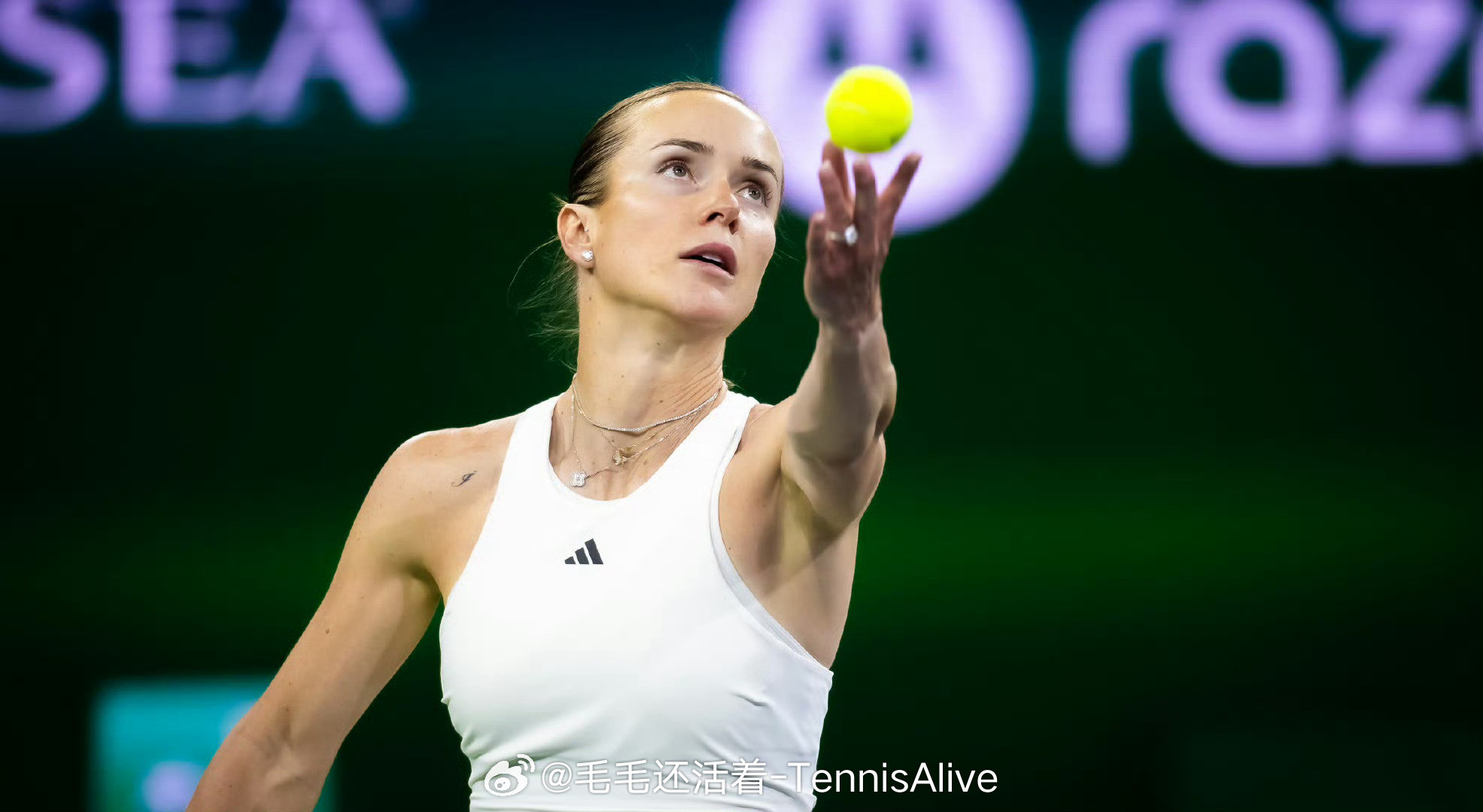 【四字形容】白菜胜场数破20斯维托丽娜6-26-4琼斯打进迈阿密女单第三轮。本