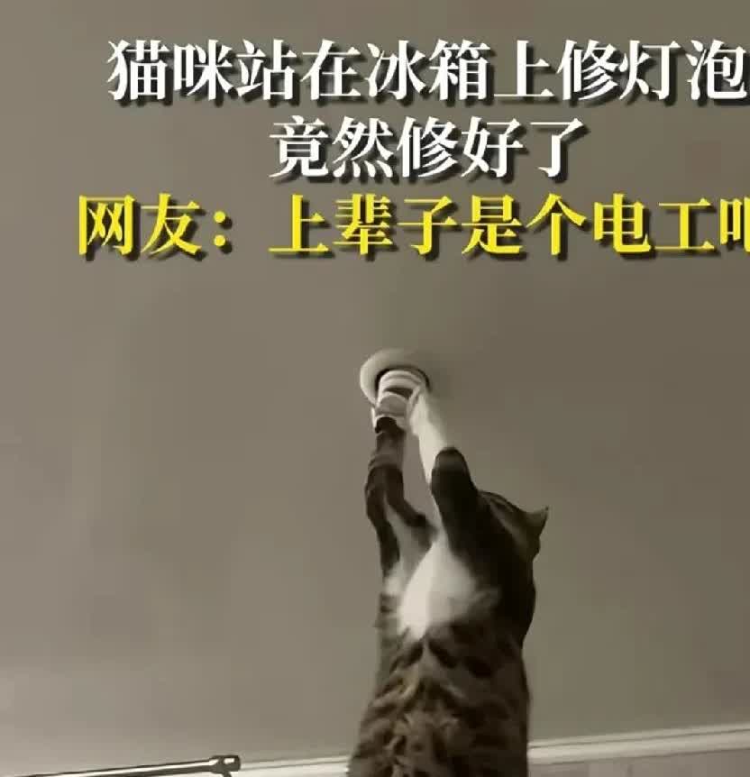 河北，一名女子下班回到家，刚要打开灯，可她按下开关，却发现灯不亮。她怀疑可能是灯