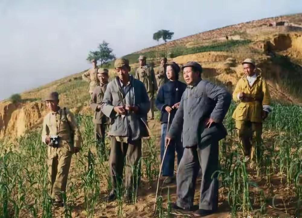 你可能想不到毛主席，毛主席当年有多“憋屈”。从1927年秋收起义，到1935