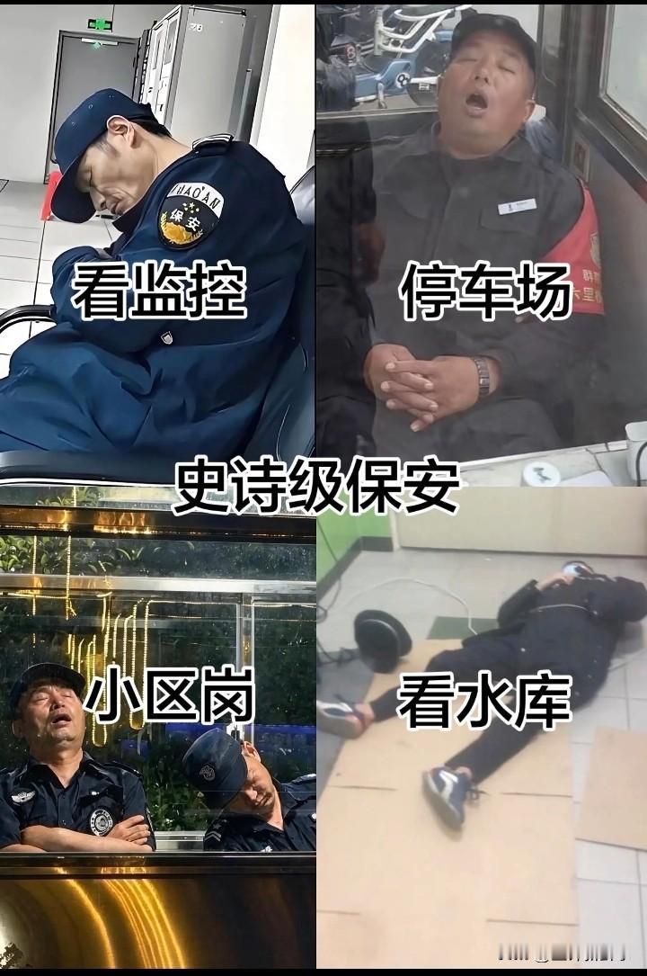 如果是你的话，你会选哪个？