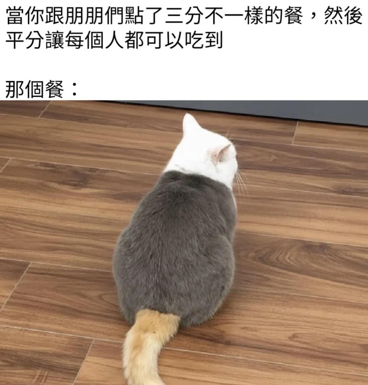 🍒搞笑梗图时刻🍔今日梗图已上线，请查收哦~​​​