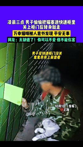 缺大德！一男子抱着一只银渐层，打开了一个快递柜，在确认里面没有东西后，将银渐层塞