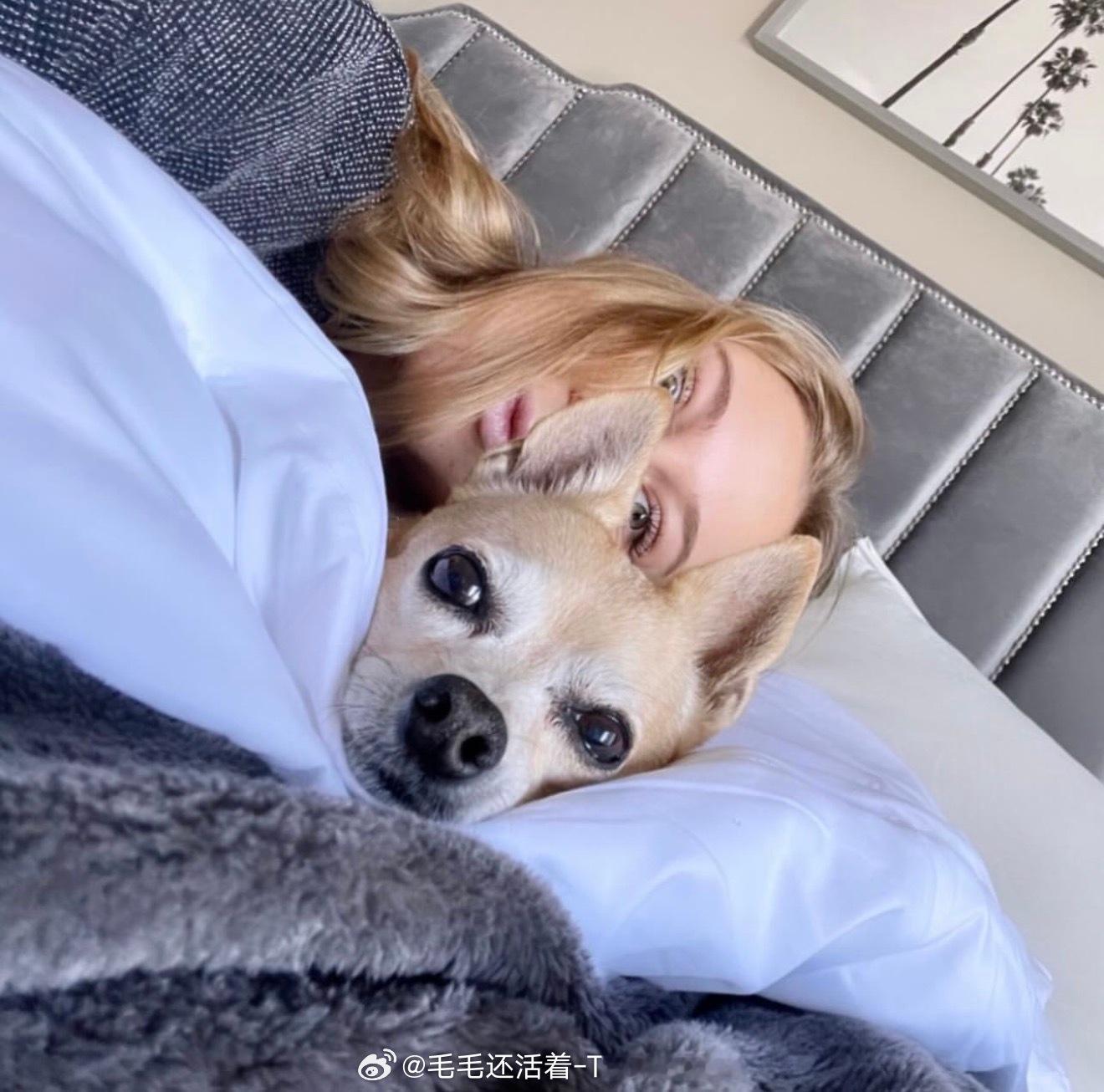 阿尼西莫娃的狗狗上了天堂。从八岁就陪伴她的狗狗已经是高龄了。