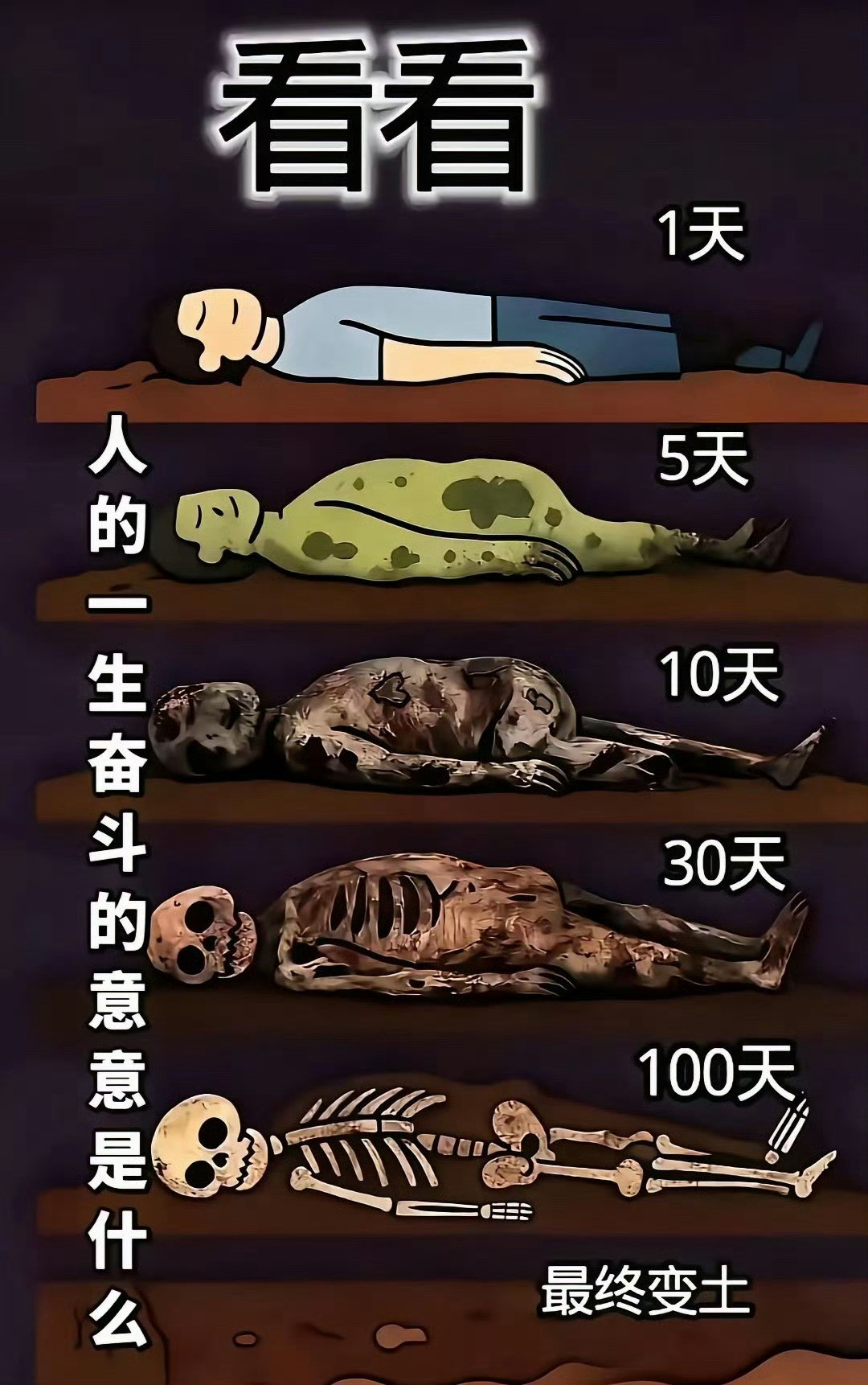 人活在这个世上，奋斗的目的是啥？