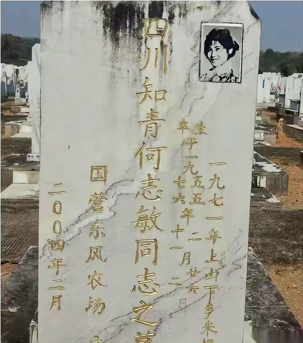 墓碑上，一个女孩在笑。黑白照片，扎着两条辫子，眼睛亮亮的。碑上刻着两行数字：1