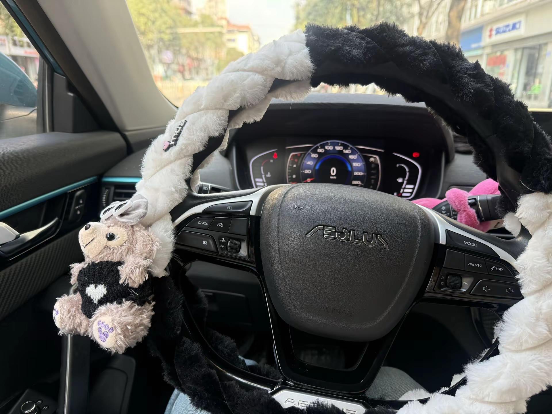 跟你们这些有方向盘加热的说不清楚