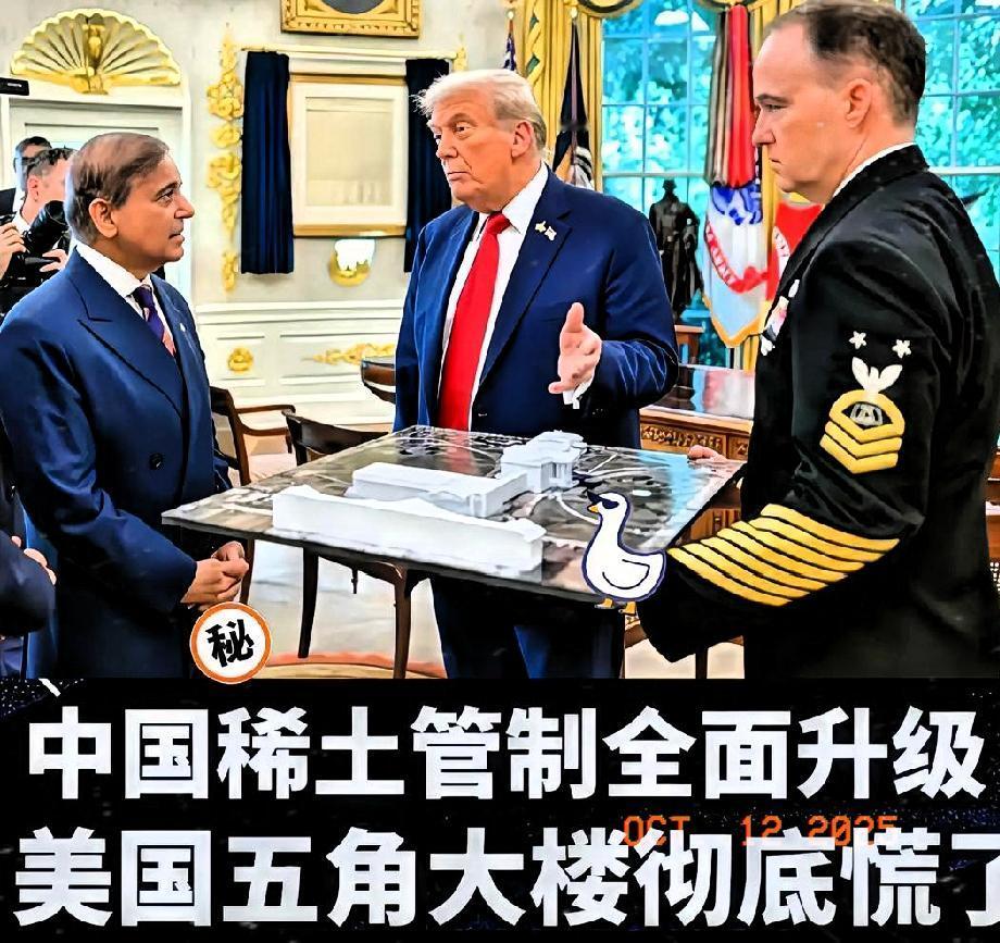 就在刚刚巴基斯坦刚从美国获得5亿的稀土投资，这笔资金本是救命稻草，没想到现在却
