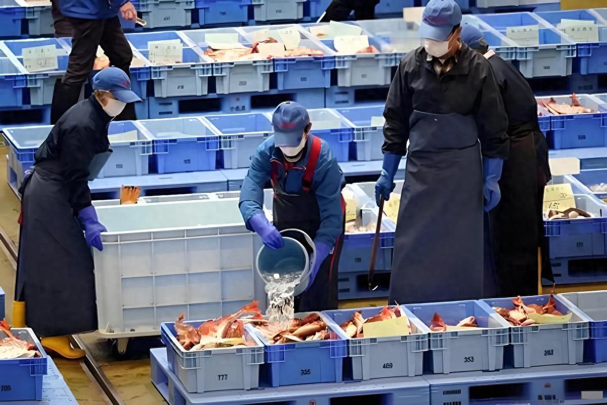 日企哀嚎遍野！12万吨水产滞留港口，中国这记回旋镖，彻底打疼了高市早苗！ 日