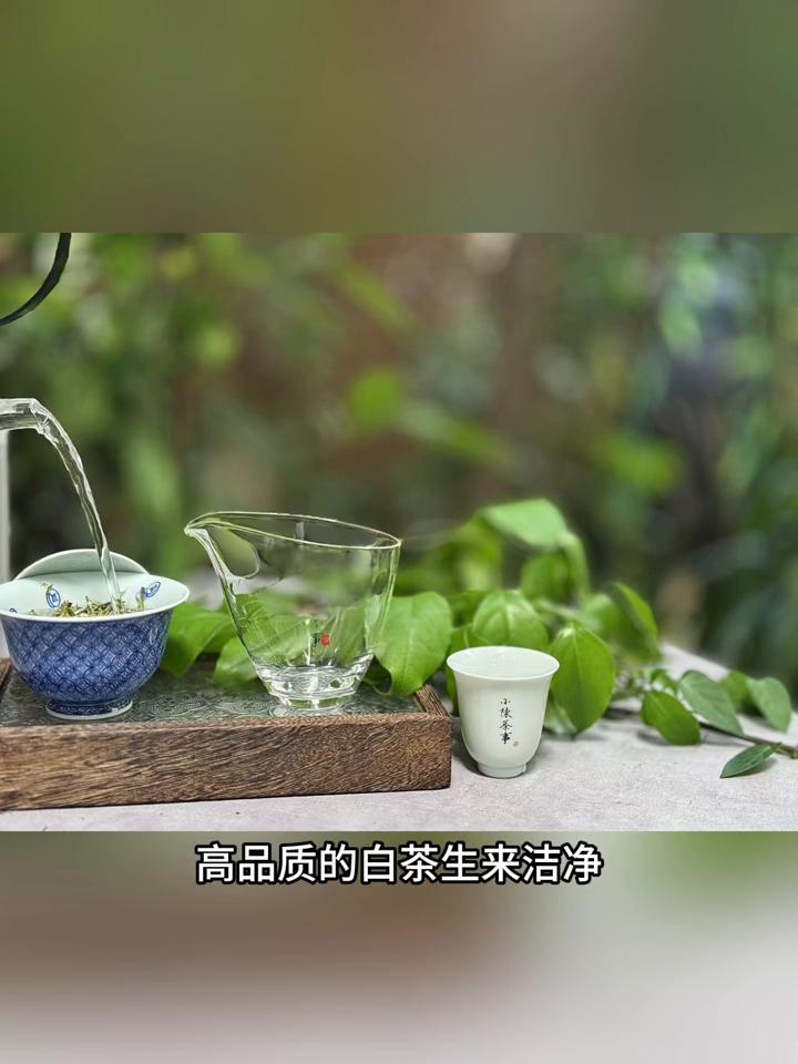 喝白茶必须要知道的5个茶知识，新手也能轻松入门。·第一点：白茶不用洗。高品质的