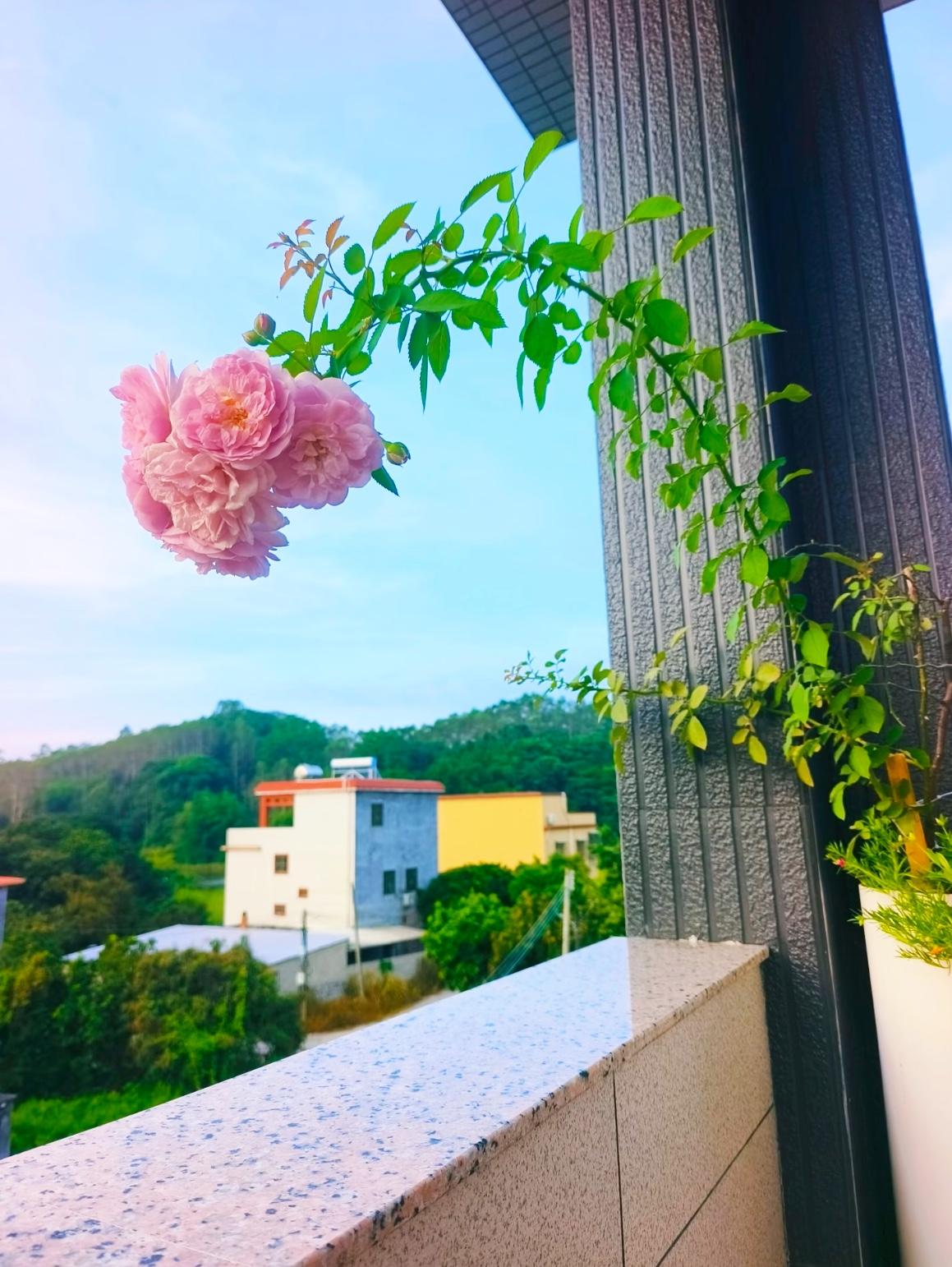 很现实的一段话：“你试试，让你亲儿子、亲闺女，每个月一号准时给你打1000块