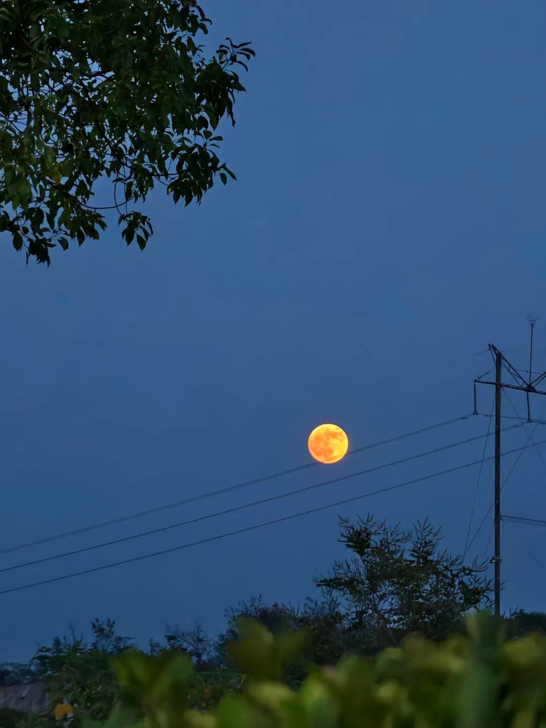让我在评论区看一看今晚你拍的🌙月全食、血月​​​