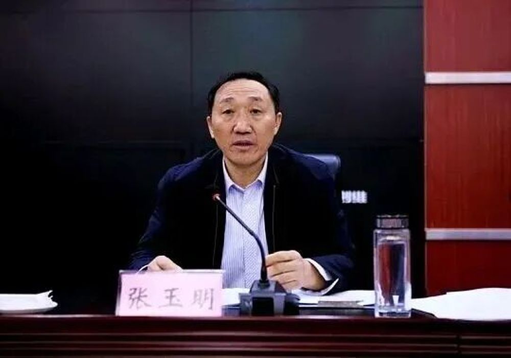 退休多年, 正厅级张玉明, 主动投案