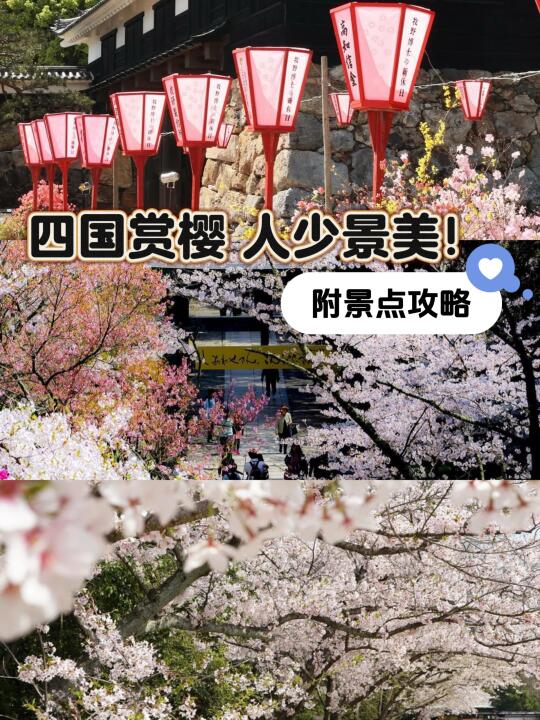 赏樱拒绝人挤人！i人首选四国看樱花🌸人少景