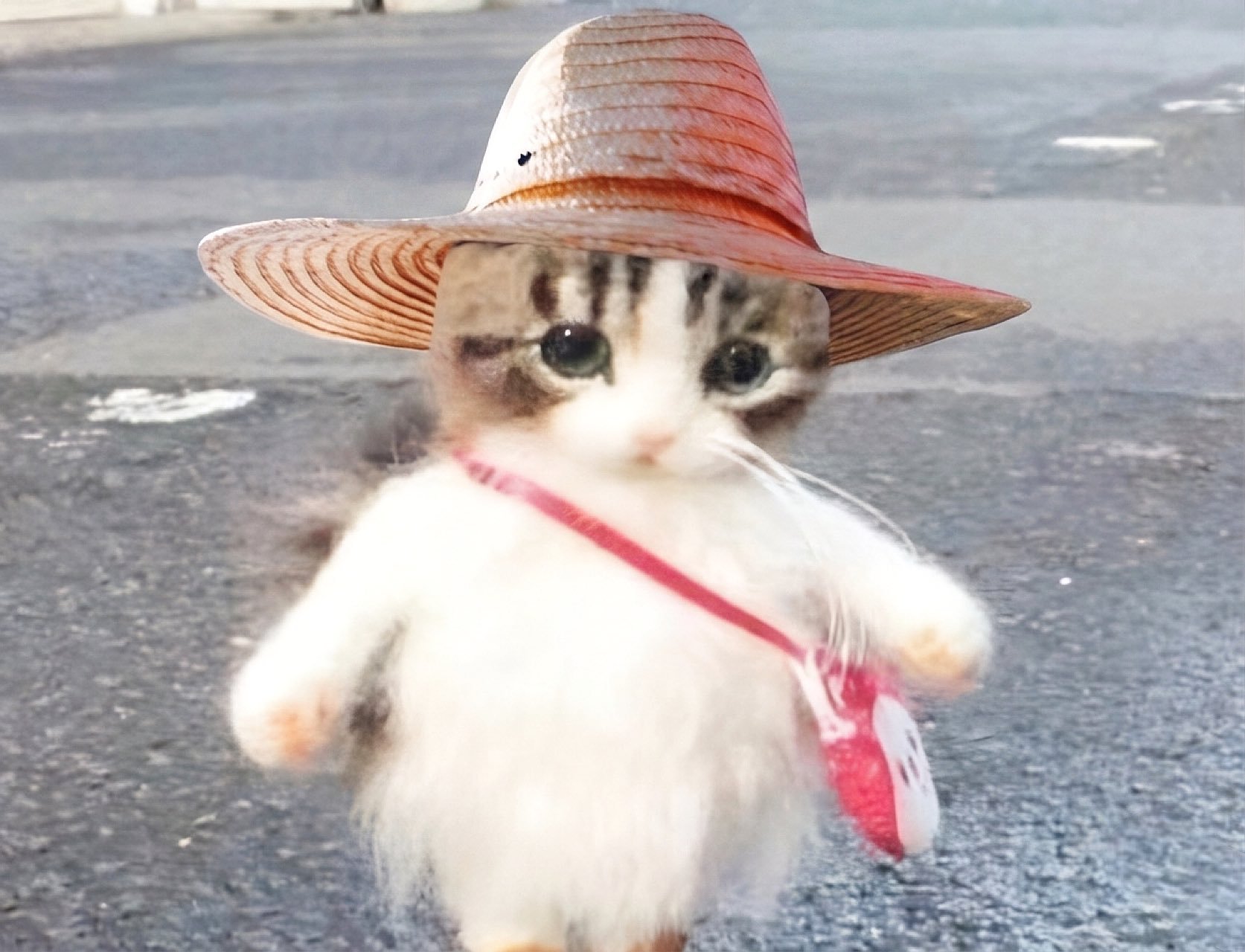 炤咪