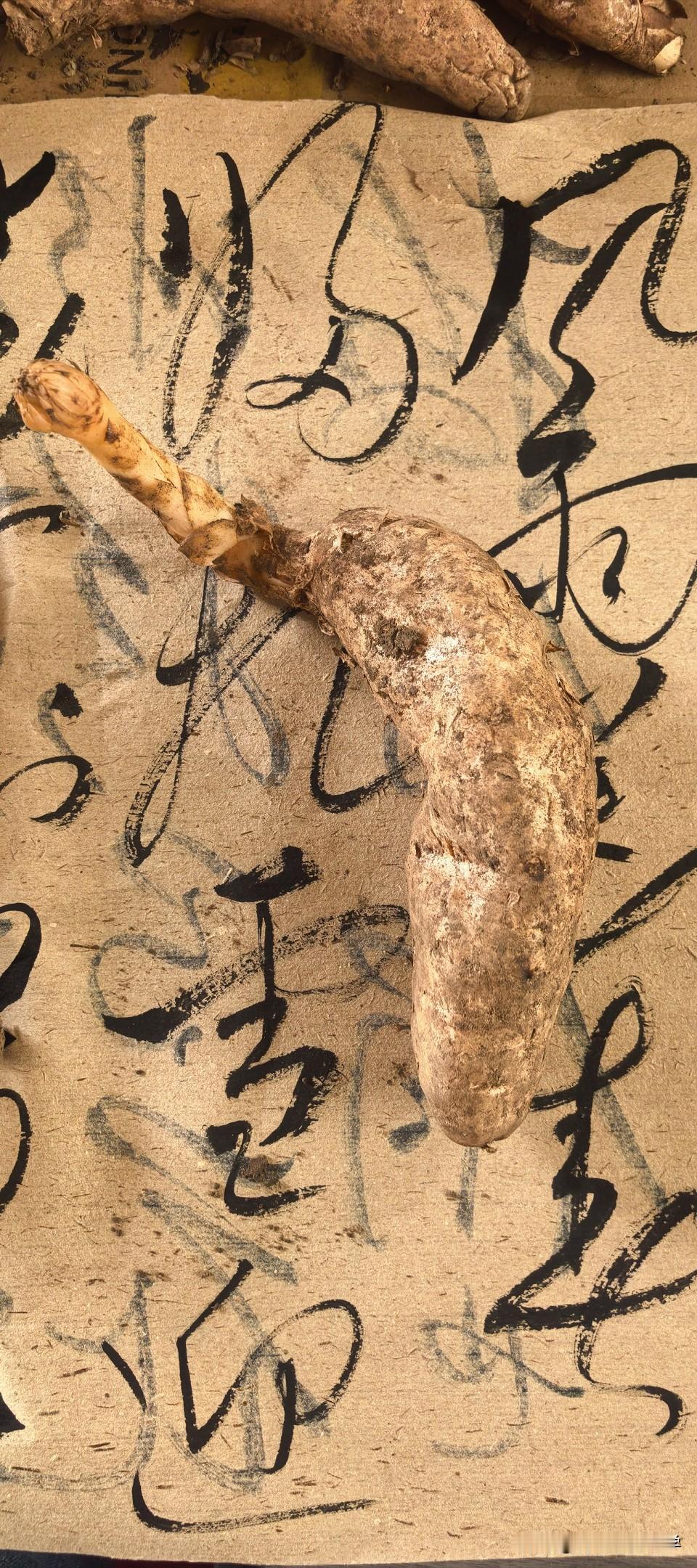 错过这周，再等一年：来自东北的初夏限定，它在用消融提醒你珍惜。五月的东北大山