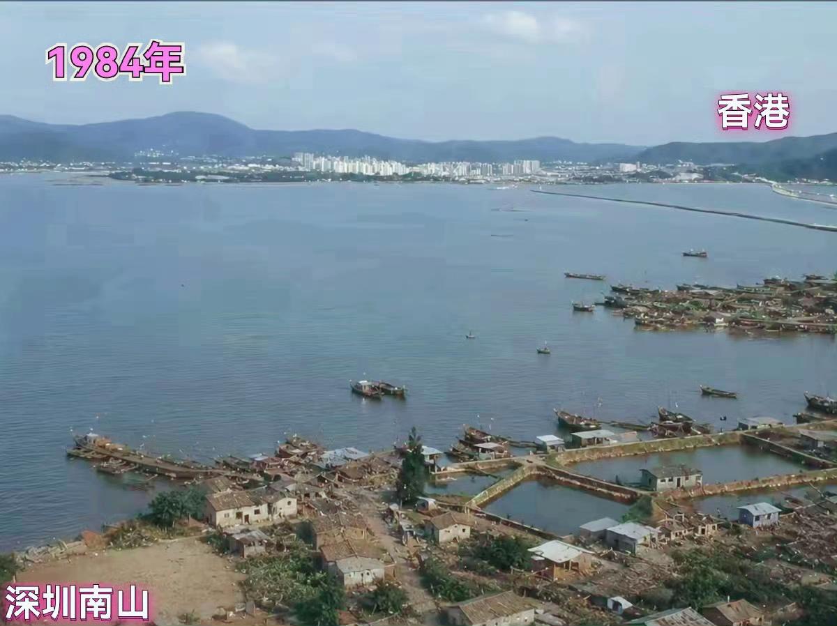 什么叫深圳速度？此刻具象化了！