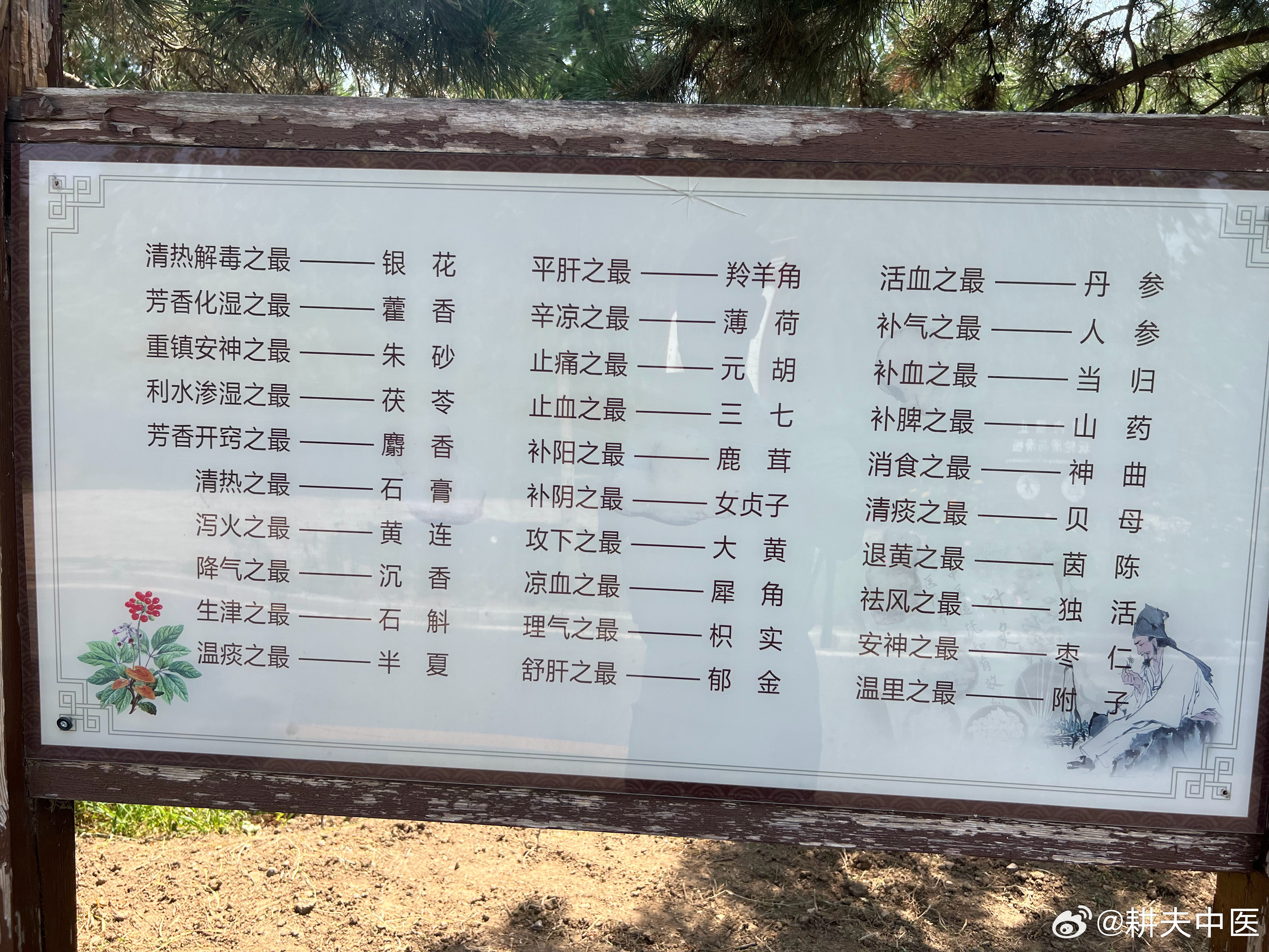 这三十个中药之最，还是挺有道理的