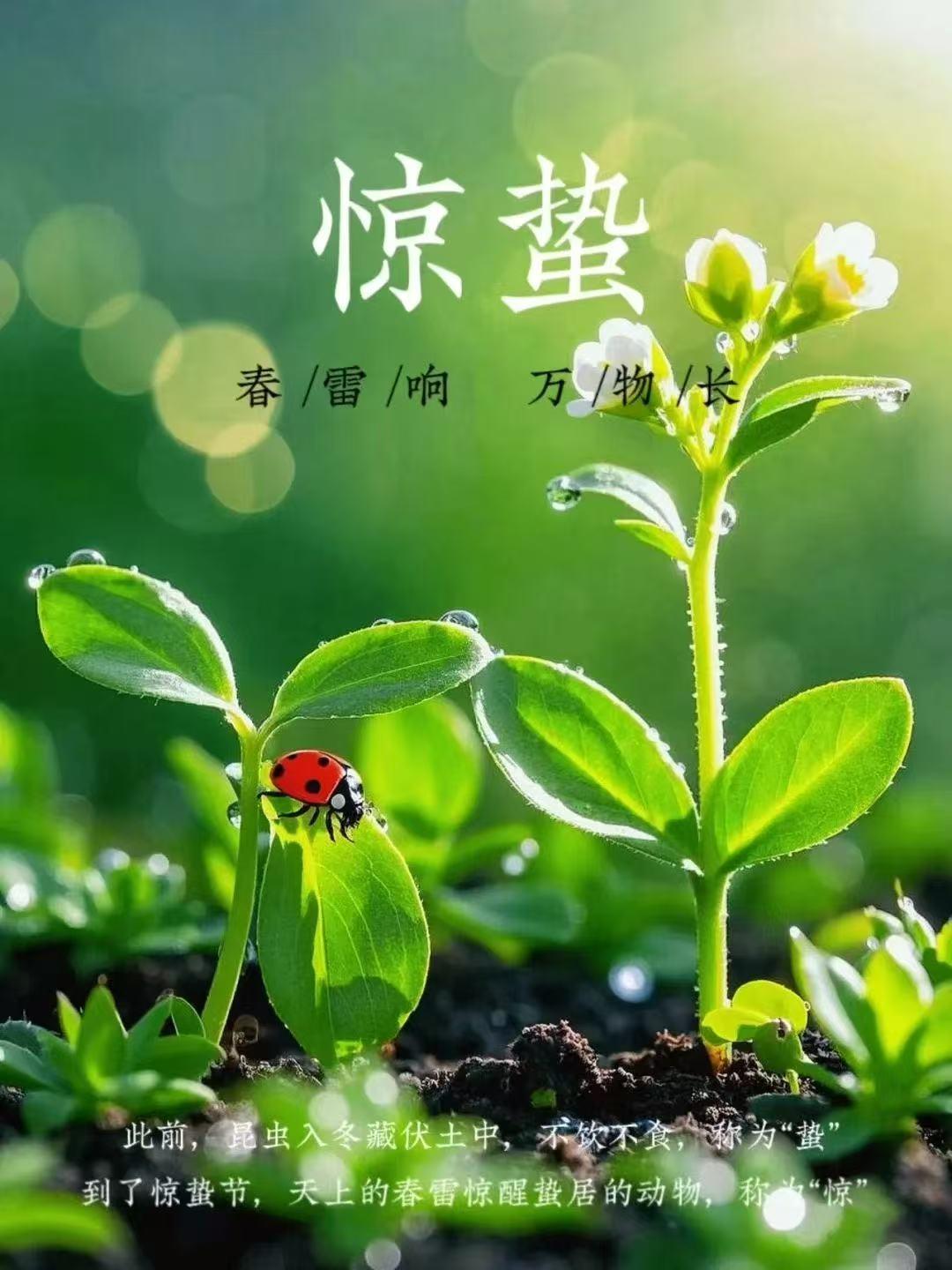 给大家提个醒，“惊蛰5不吃，一年病不沾”！惊蛰后，要懂得忌嘴！春雷一响，惊蛰到