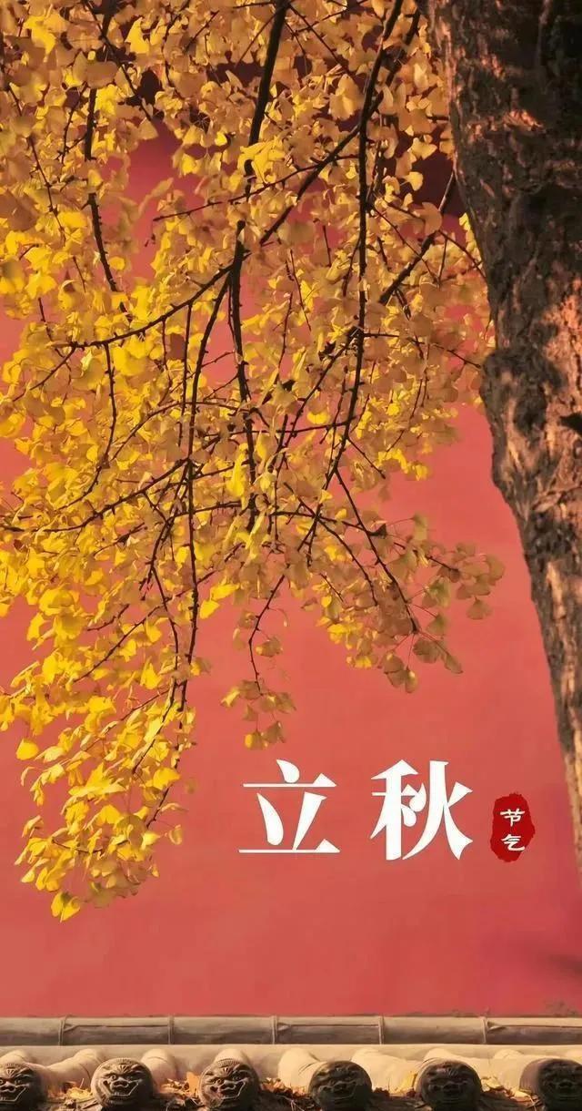 《立秋》风来蝉渐歇，雨过叶初黄。案上残茶冷，阶前落蕊香。年光催鬓改，心事入